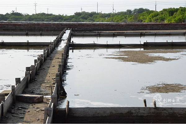 安順鹽場四草生態保護區 56.jpg