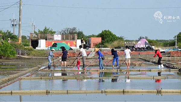 安順鹽場四草生態保護區 58.jpg 安順鹽場四草生態保護區 58.jpg