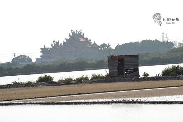 安順鹽場四草生態保護區 60.jpg