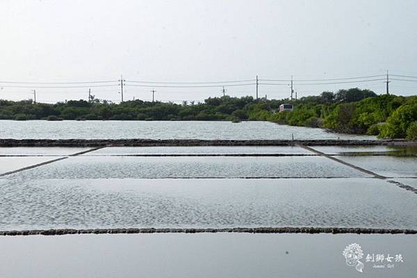 安順鹽場四草生態保護區 59.jpg 安順鹽場四草生態保護區 59.jpg