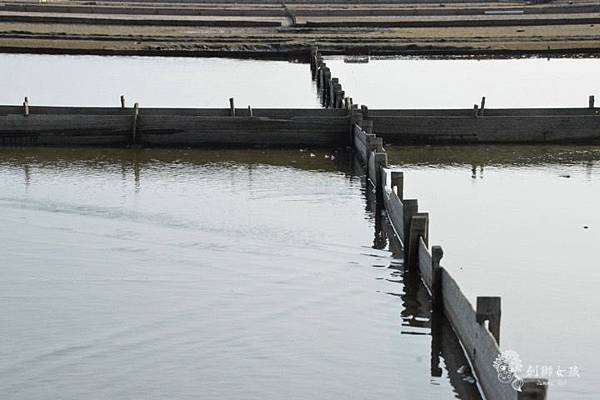 安順鹽場四草生態保護區 61.jpg 安順鹽場四草生態保護區 61.jpg