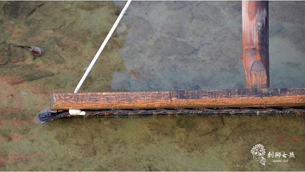 安順鹽場四草生態保護區 63.jpg 安順鹽場四草生態保護區 63.jpg