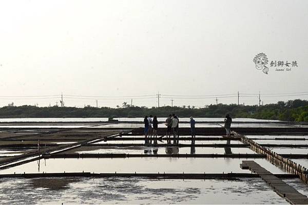 安順鹽場四草生態保護區 65.jpg 安順鹽場四草生態保護區 65.jpg