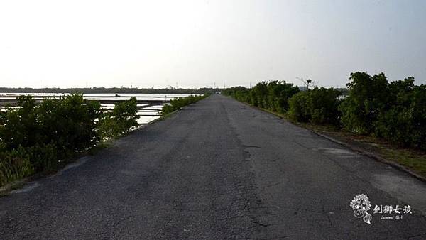 安順鹽場四草生態保護區 68.jpg 安順鹽場四草生態保護區 68.jpg