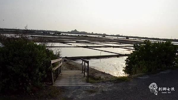 安順鹽場四草生態保護區 67.jpg