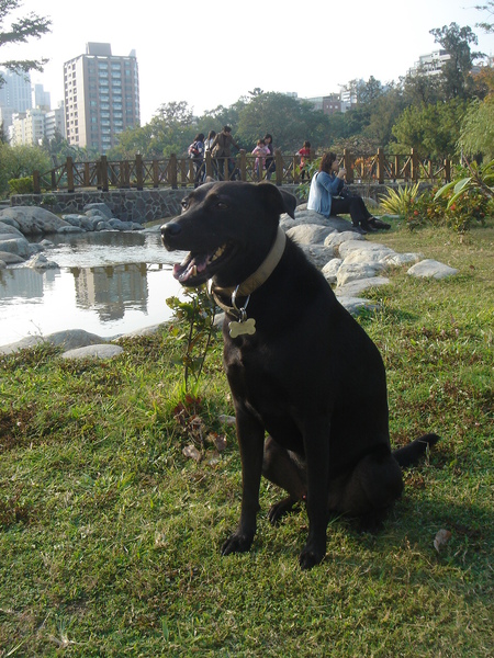 酷奇中央公園散散步