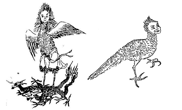 人頭鳥身 人頭鳥身