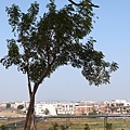 R0013783.JPG