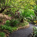 Botanic Gardens_32.JPG