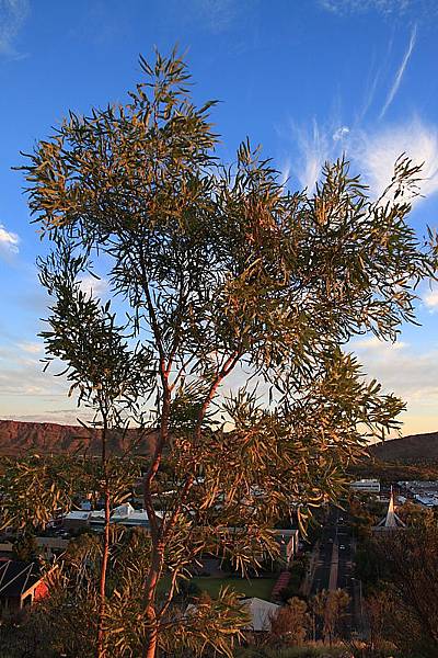 Anzac Hill 3_06.JPG