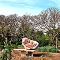 Botanic Gardens_02.JPG