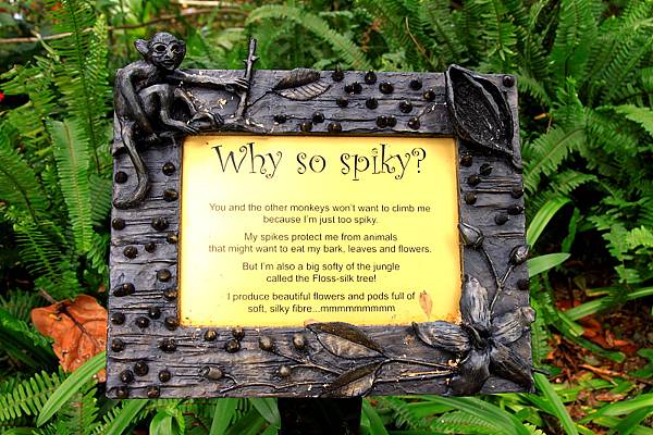 Botanic Gardens_37.JPG
