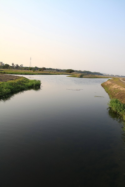 水池2.JPG