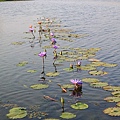 水池4.JPG
