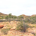 Alice's Spring02.JPG