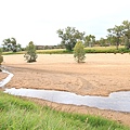Alice's Spring03.JPG