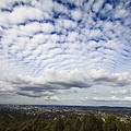 Mt Coot-tha_03.JPG