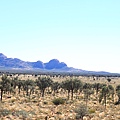 Kata-Juta03.JPG