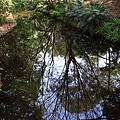 Botanic Gardens_05.JPG