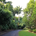 Botanic Gardens_23.JPG