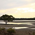 Ted Smout Bridge_50.JPG