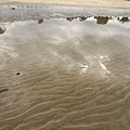 Ted Smout Bridge_44.JPG