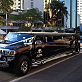 wedding_11.JPG