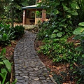 Botanic Gardens_34.JPG