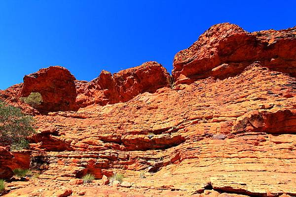 King Canyon17.JPG