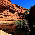 King Canyon43.JPG