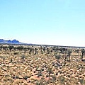 Kata-Juta20.JPG