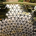 Botanic Gardens_41.JPG