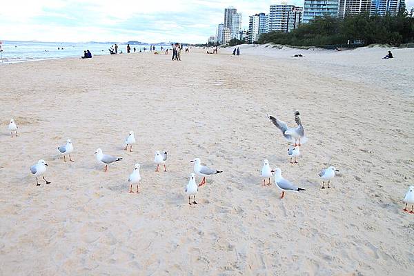 GoldCoast_26.JPG