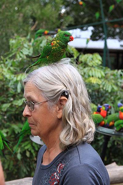 Bird_11.JPG
