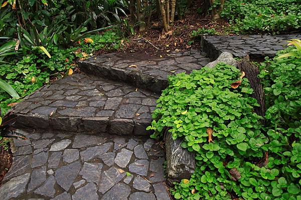 Botanic Gardens_33.JPG