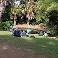 Botanic Gardens_04.JPG