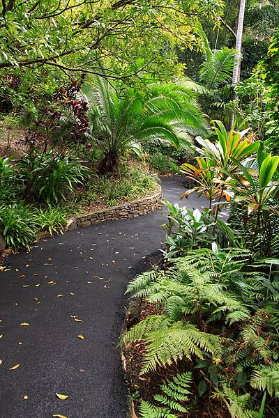 Botanic Gardens_31.JPG