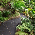 Botanic Gardens_31.JPG