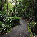 Botanic Gardens_28.JPG