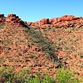 King Canyon09.JPG