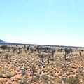 Kata-Juta20.JPG