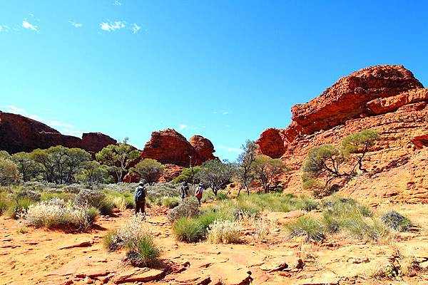 King Canyon16.JPG