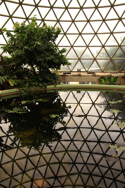 Botanic Gardens_43.JPG