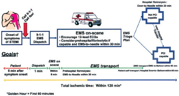 2007 STEMI UPDATE EMS DISPATCH FIG.JPG