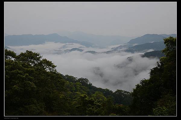 格頭雲海11.jpg