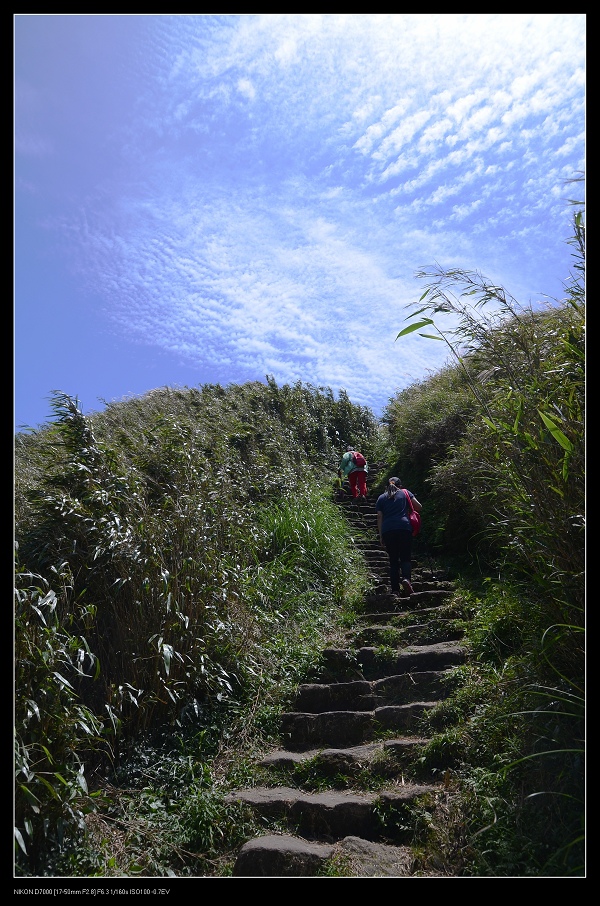 階梯.jpg 階梯.jpg