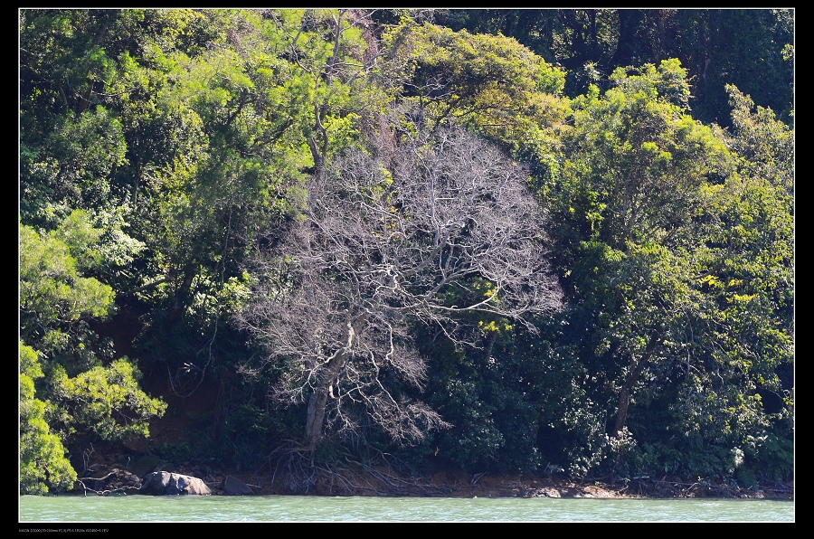 石門水庫7.jpg 石門水庫7.jpg