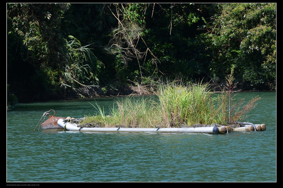 石門水庫12.jpg 石門水庫12.jpg