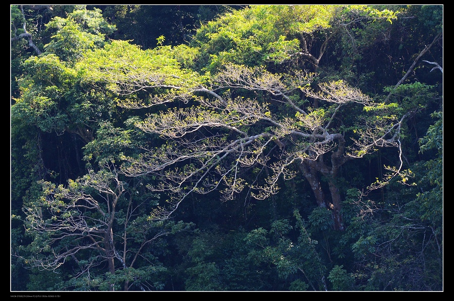 石門水庫13.jpg 石門水庫13.jpg