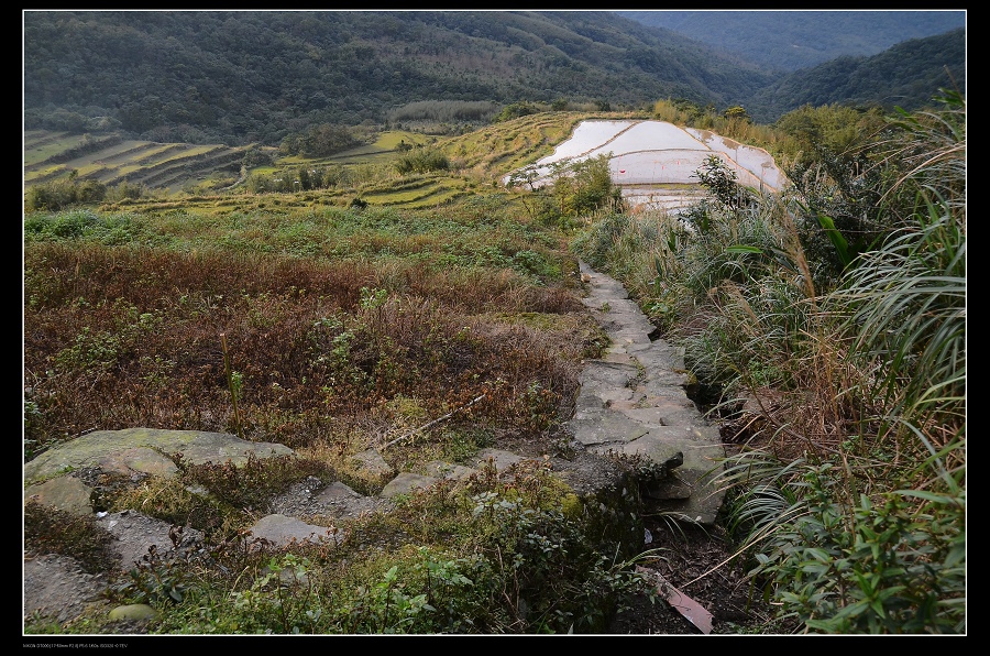 梯田.jpg 梯田.jpg